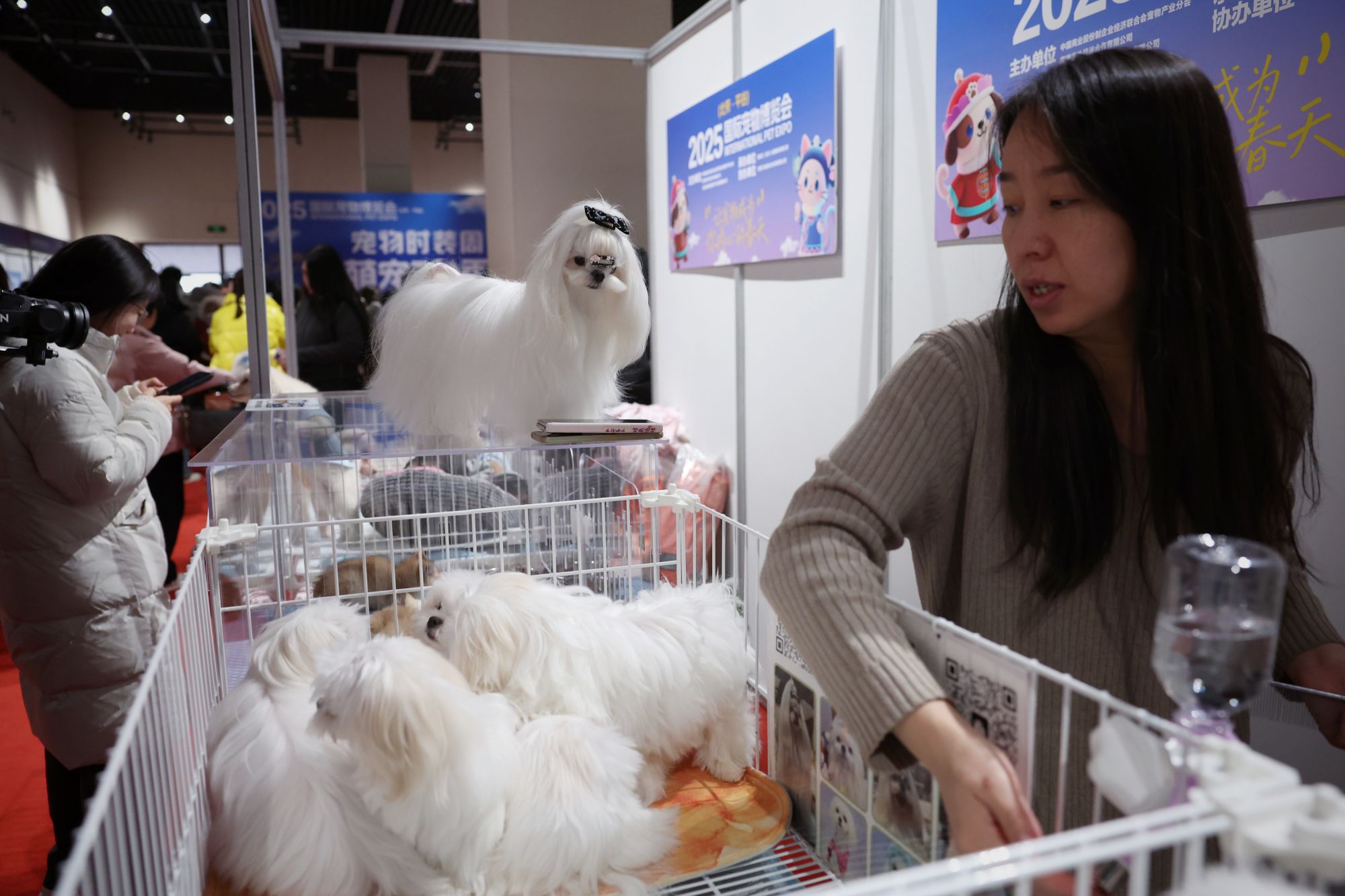 北京平谷迎全球萌宠大比拼