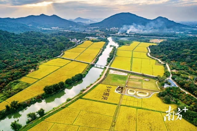 “百千万工程”：奔向五年见成效、十年大变样