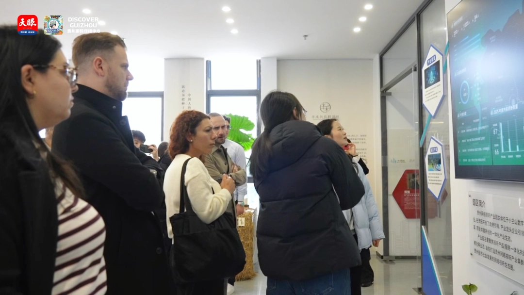 17665102184434.png 7.png