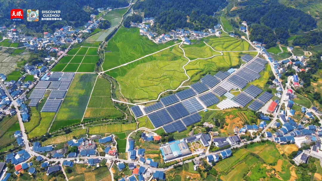 17665099683014.png 5.png