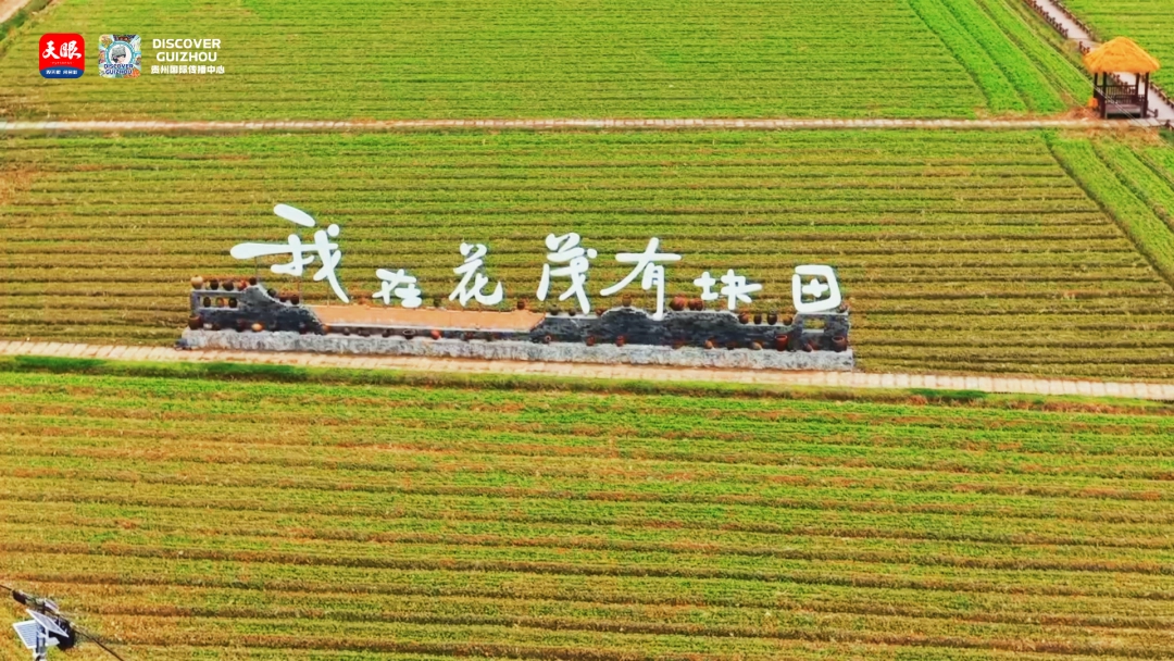 17665103947006.png 8.png