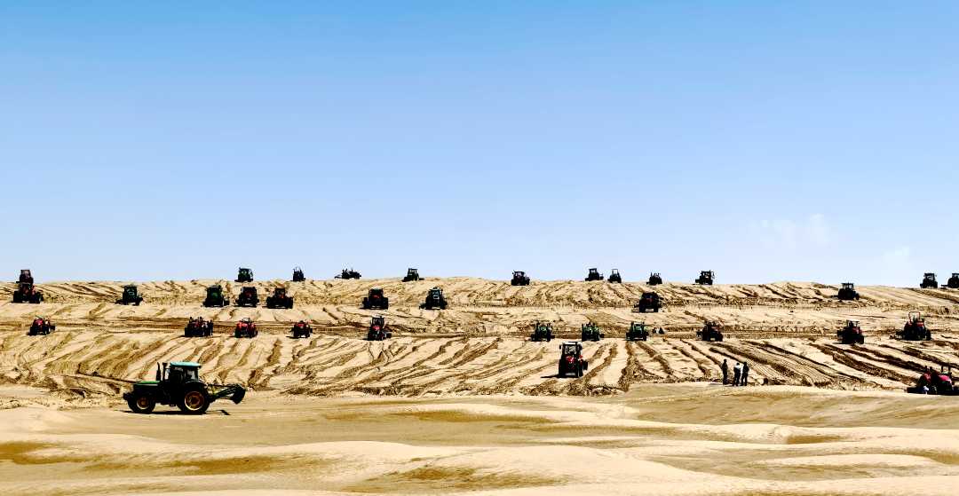 W020250815560115951677.jpeg W020250815560115951677.jpeg