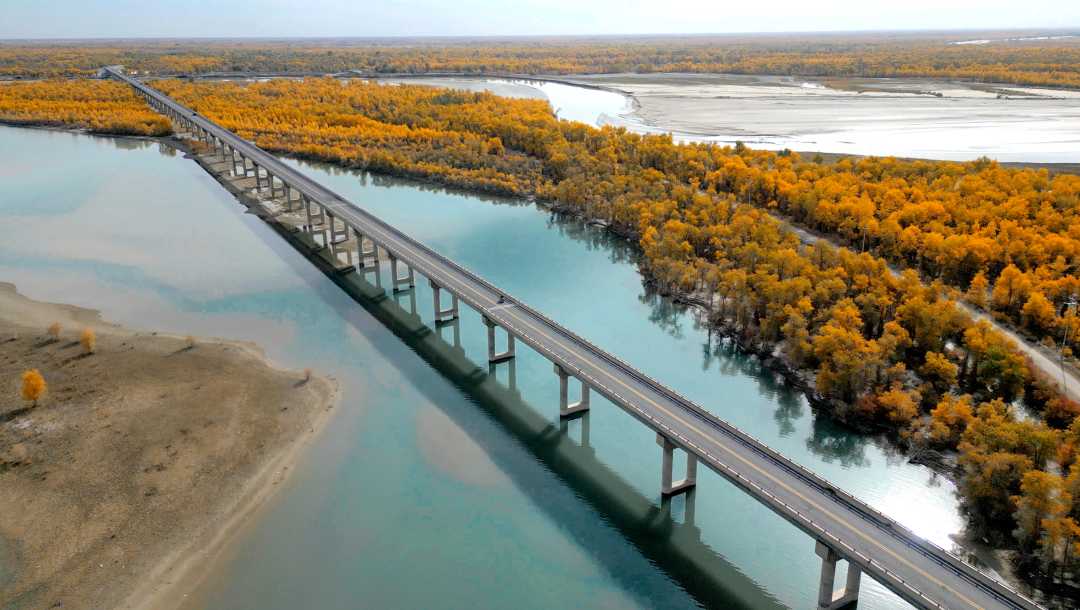 W020250815560134409397.jpeg W020250815560134409397.jpeg