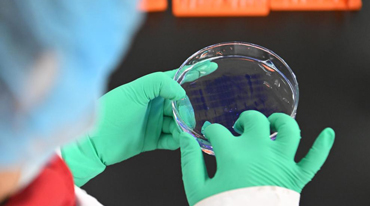 用药利好事关你我!国家医保药品