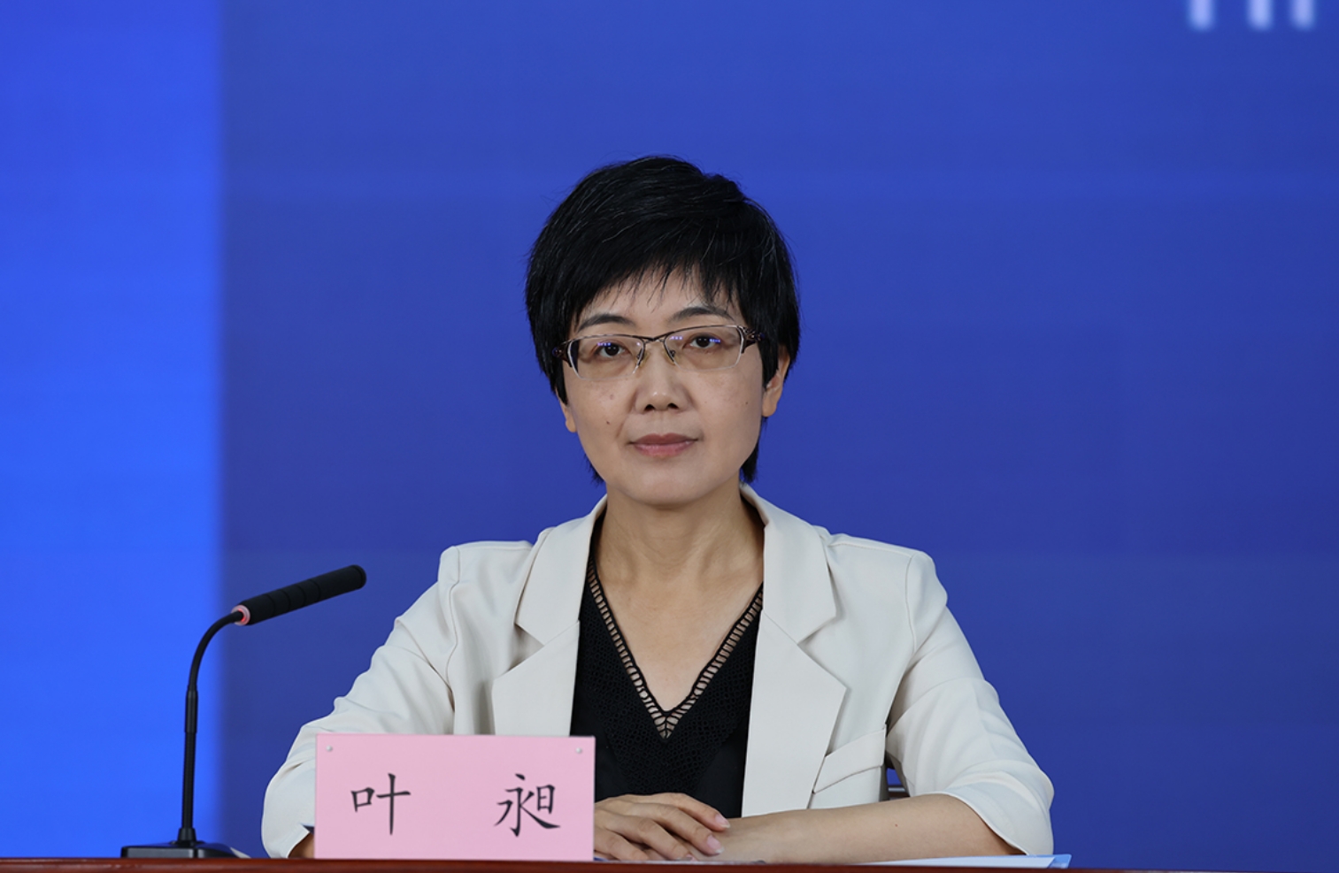 北京市委宣传部对外新闻处处长 叶昶