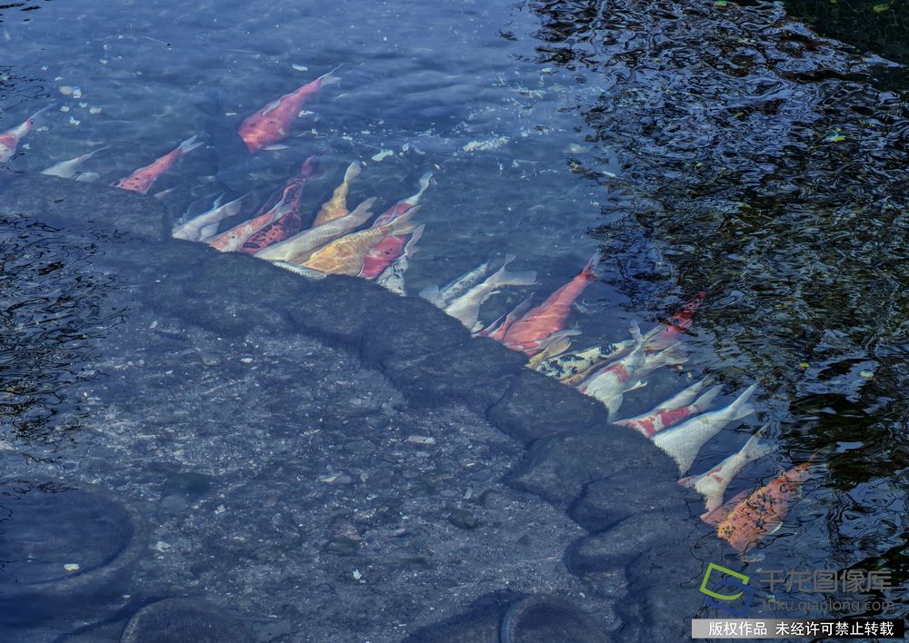 MVIMG_20260107_105631 拷贝_调整大小