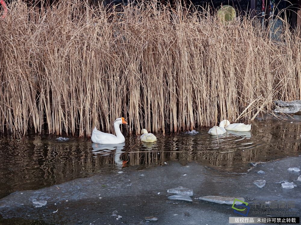 MVIMG_20260107_104113 拷贝_调整大小