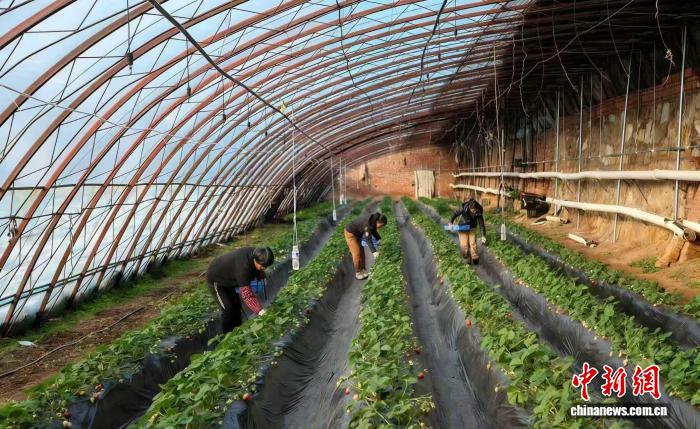 ae0291b6-4b34-4046-88f8-9f9c56a82b74_zsite