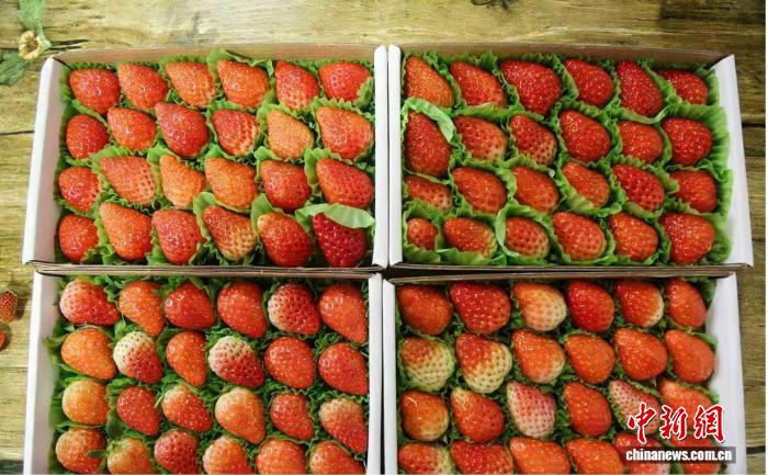 a1475846-a1d7-4500-86e9-3a90add9fbb9_zsite