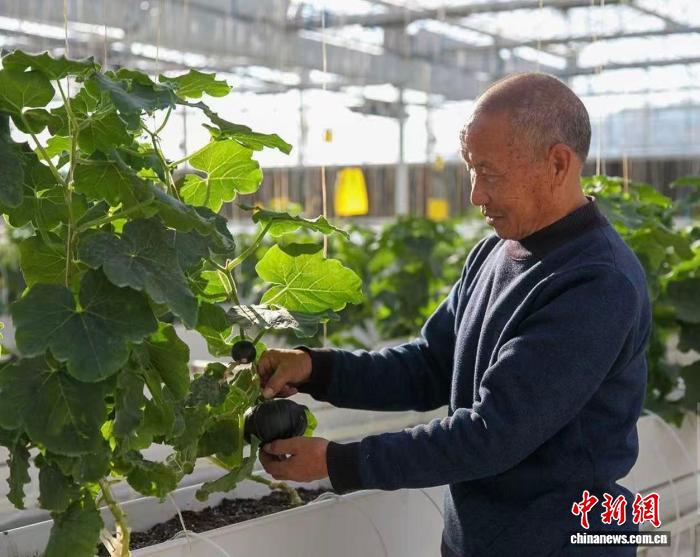 f6127cfb-064a-4038-8238-a7f3c3af096e_zsite