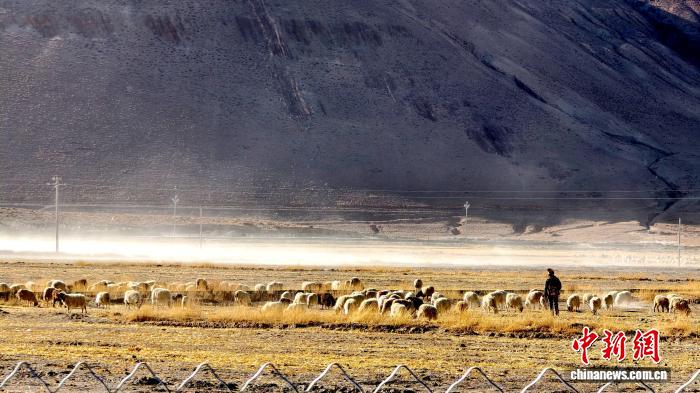 e06c954a-e9f8-4f0e-b0e8-afeef168b8d6_zsite