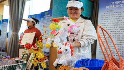 京津冀代表分享助残故事