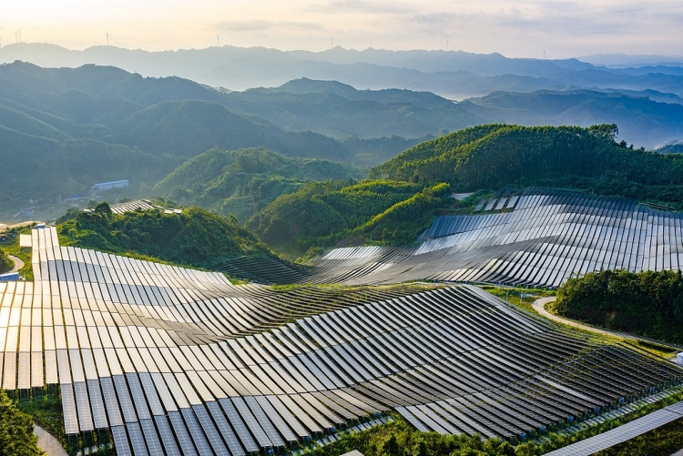 中国经济信心说丨消费添&ldquo;绿&rdquo;，产业向&ldquo;新&rdquo;