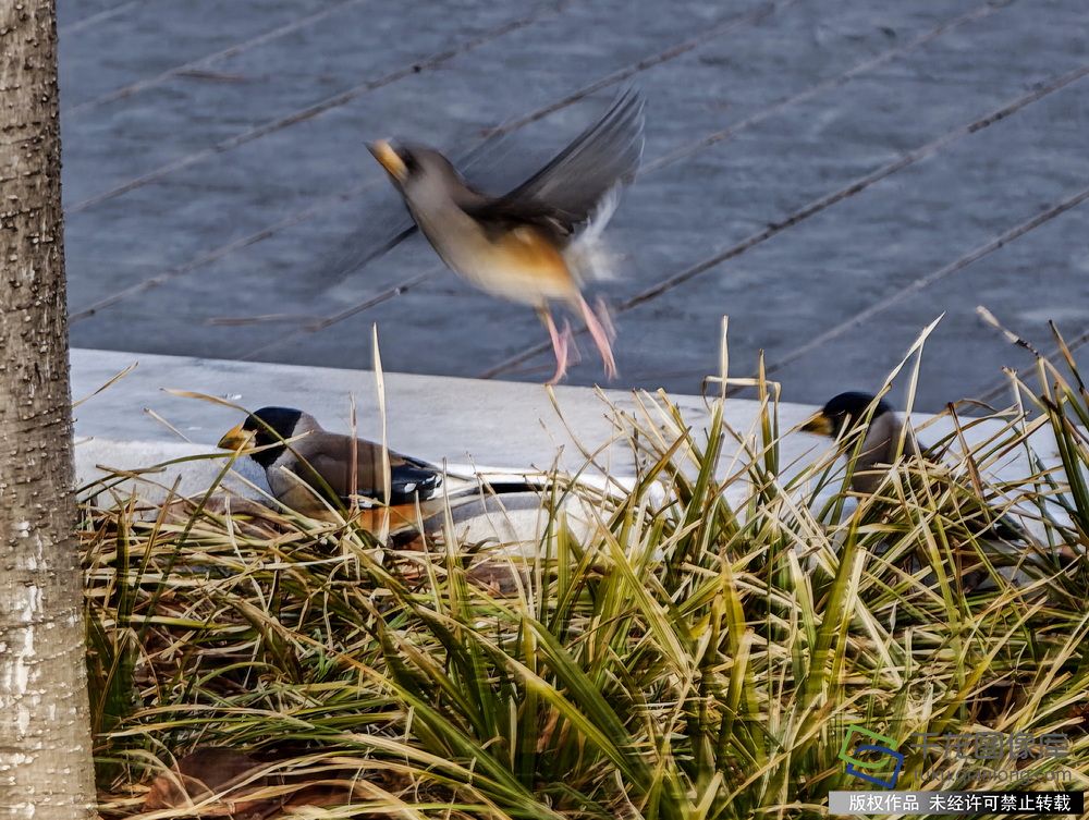 IMG_20260110_103136 拷贝_调整大小