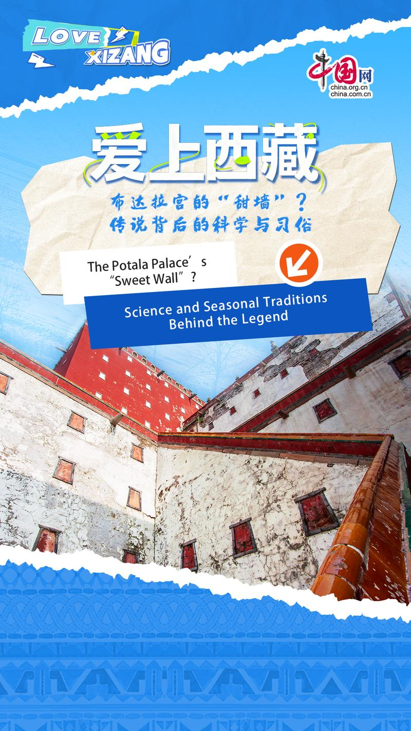 微信图片_20260117153956_87_2