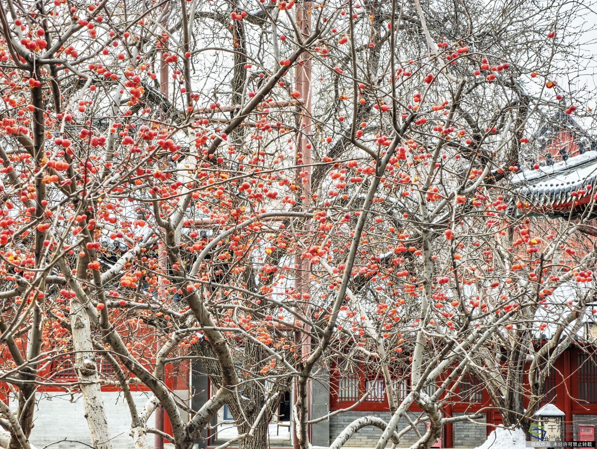 IMG_20260118_095531 拷贝