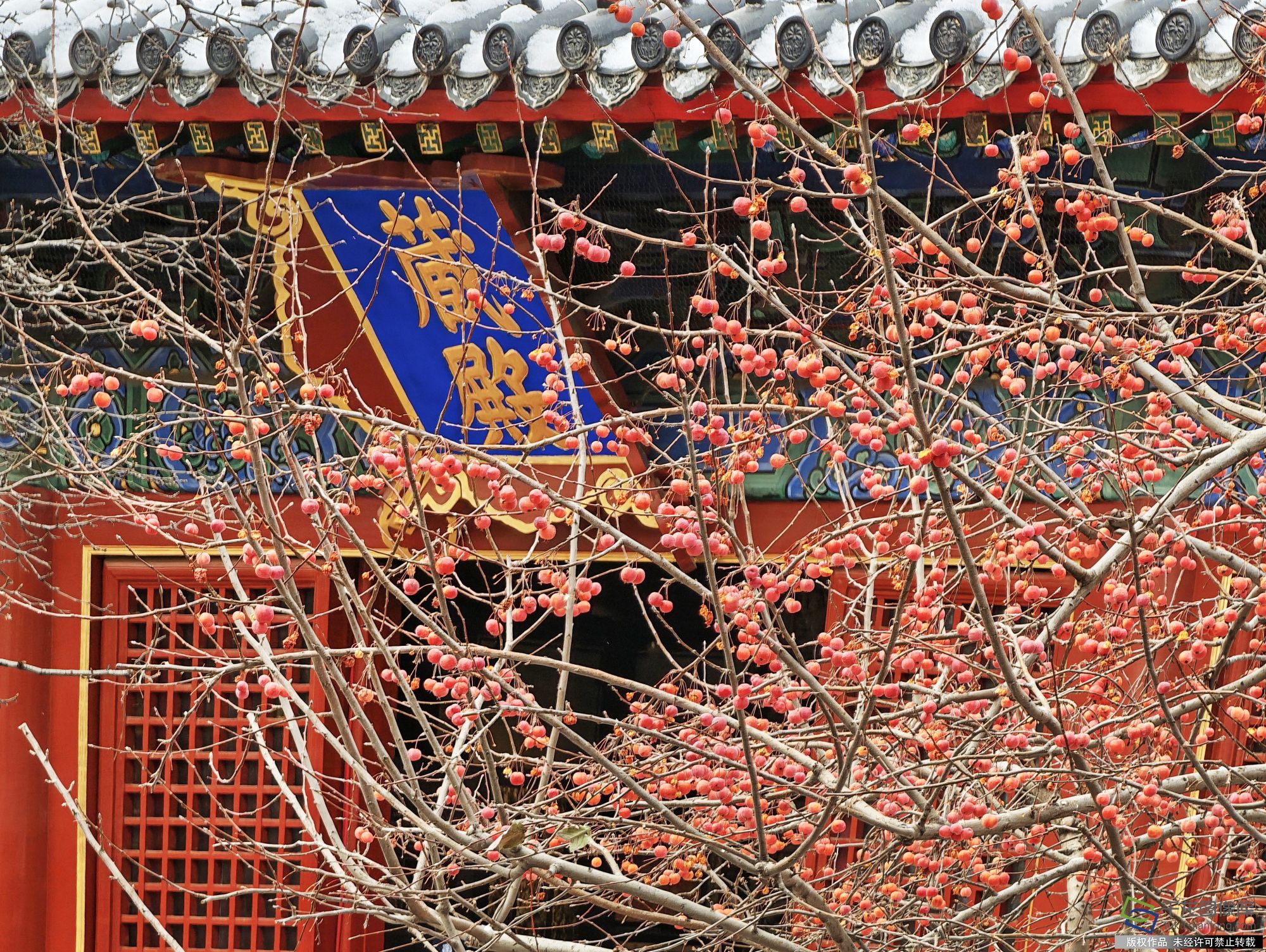 IMG_20260118_095226 拷贝