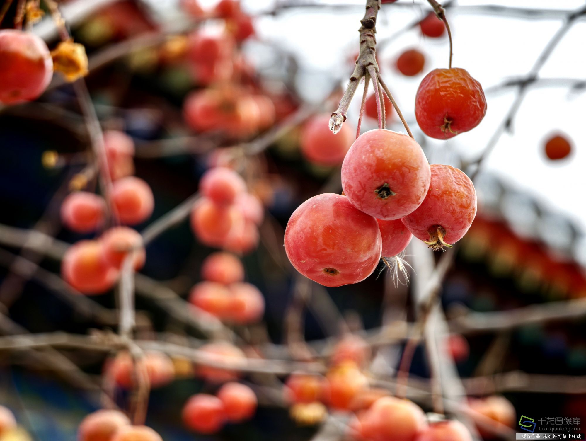 IMG_20260118_094619 拷贝