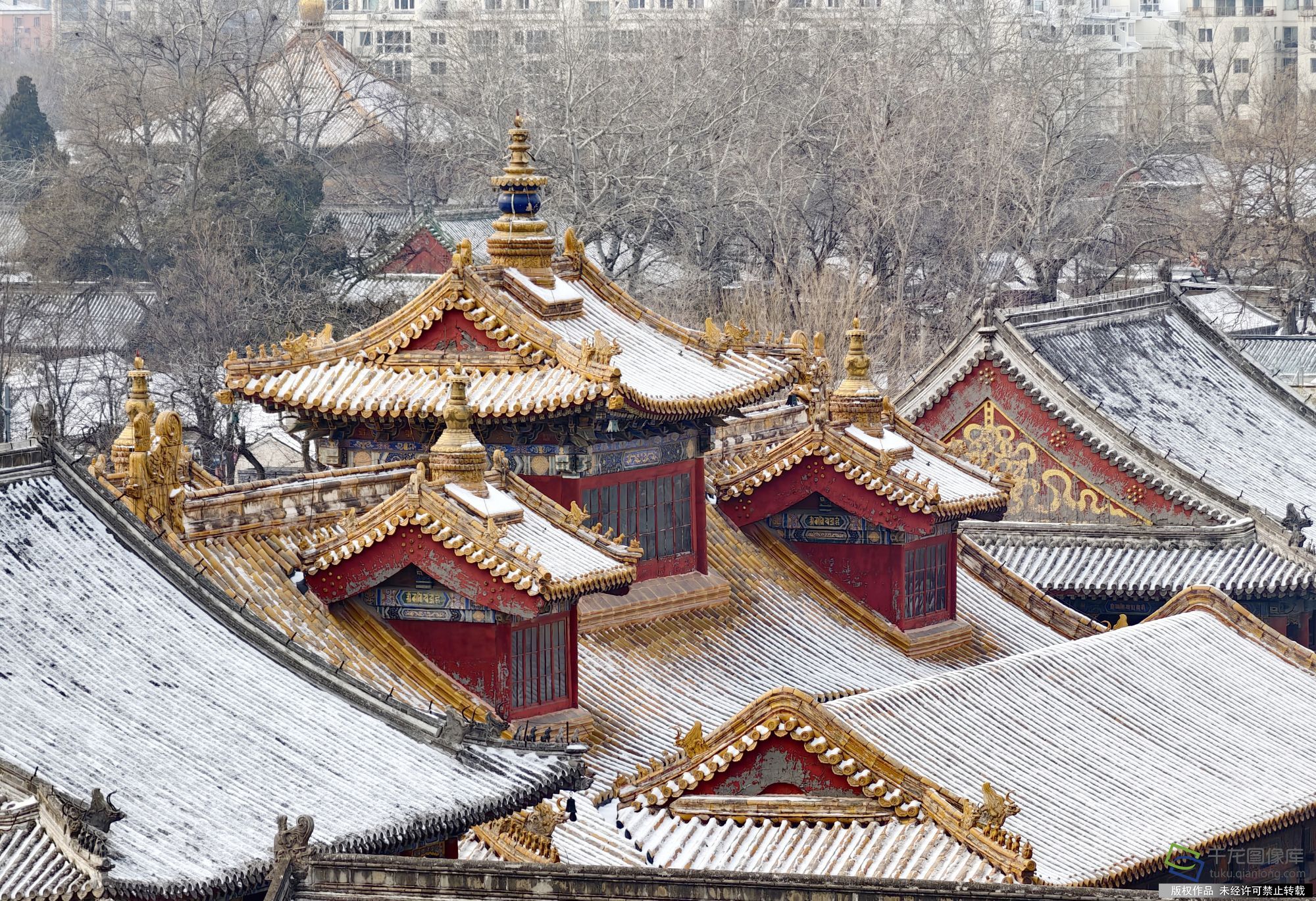 微信图片_20260120085115_48_4729