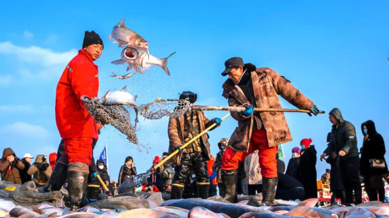 文旅新探丨吉林查干湖：冰湖腾鱼冬捕热