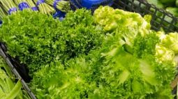 毒农药滥用曝光 如何守护我们的“菜篮子”？