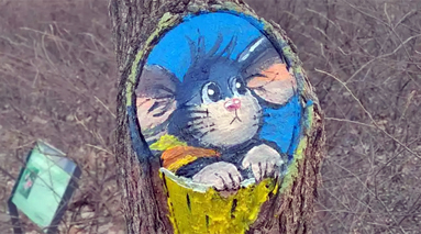 南森公园树洞里住着哪些“小可爱”？