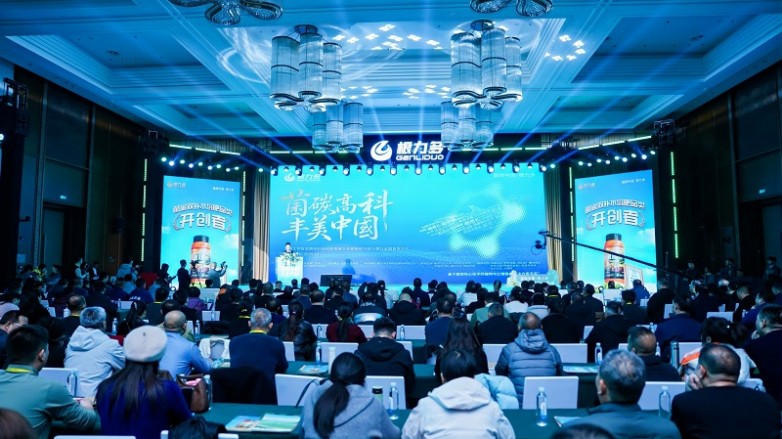 1769150770826746.jpg 图片12.jpg