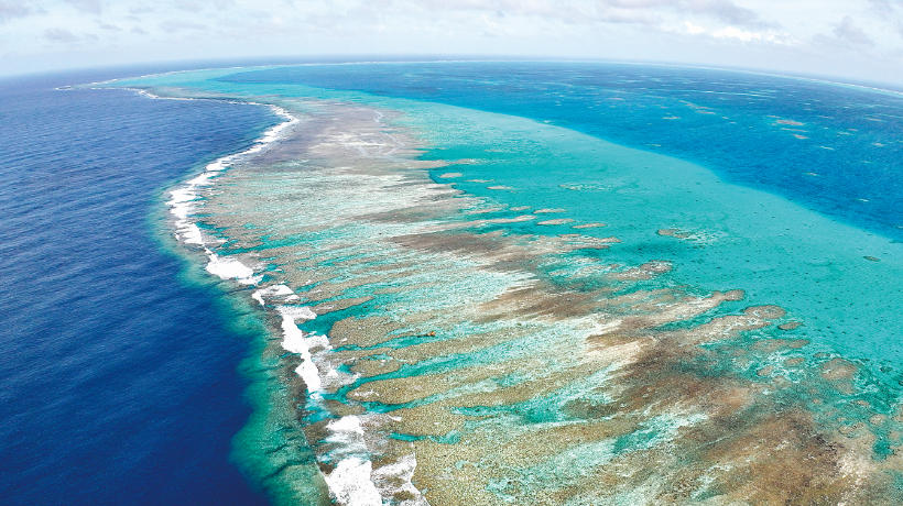 壮美河山，有它们守护