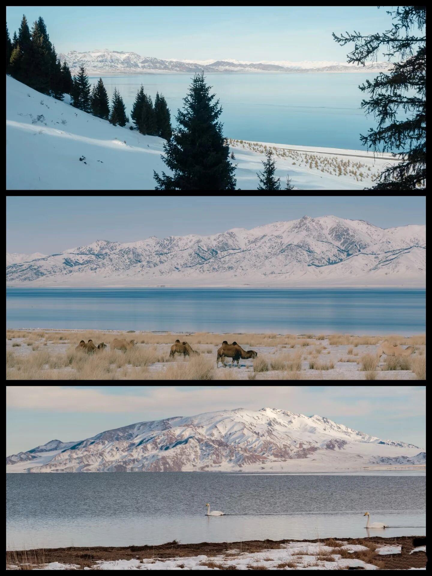 “马”上免费!全国多地景区推出马年限定福利