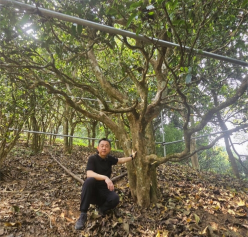 PTÊÓѶ(ÖйúÇø)¹ÙÍø