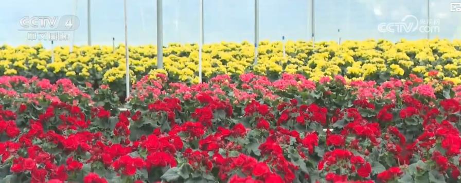 PTÊÓѶ(ÖйúÇø)¹ÙÍø