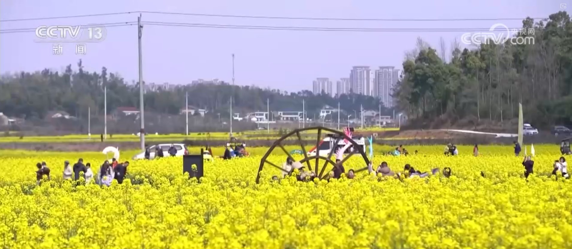 PTÊÓѶ(ÖйúÇø)¹ÙÍø