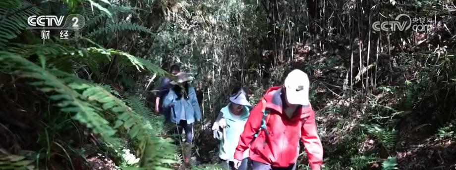 PT��Ѷ(�й���)����