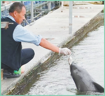 PT��Ѷ(�й���)����