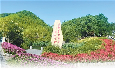 PT��Ѷ(�й���)����