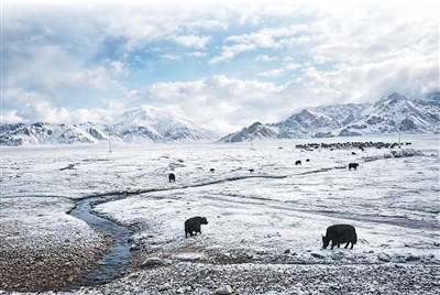 PT��Ѷ(�й���)����