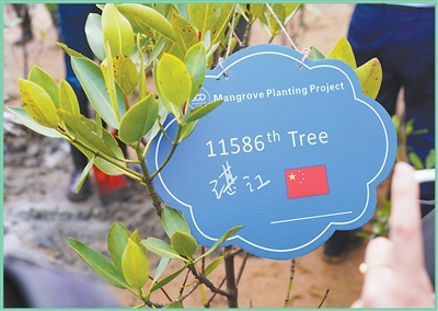 PT��Ѷ(�й���)����