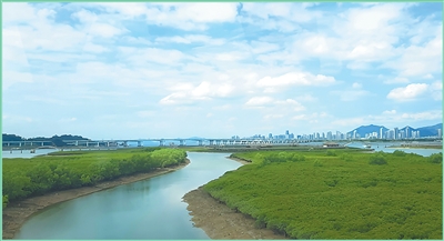 PT��Ѷ(�й���)����