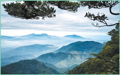 PT��Ѷ(�й���)����