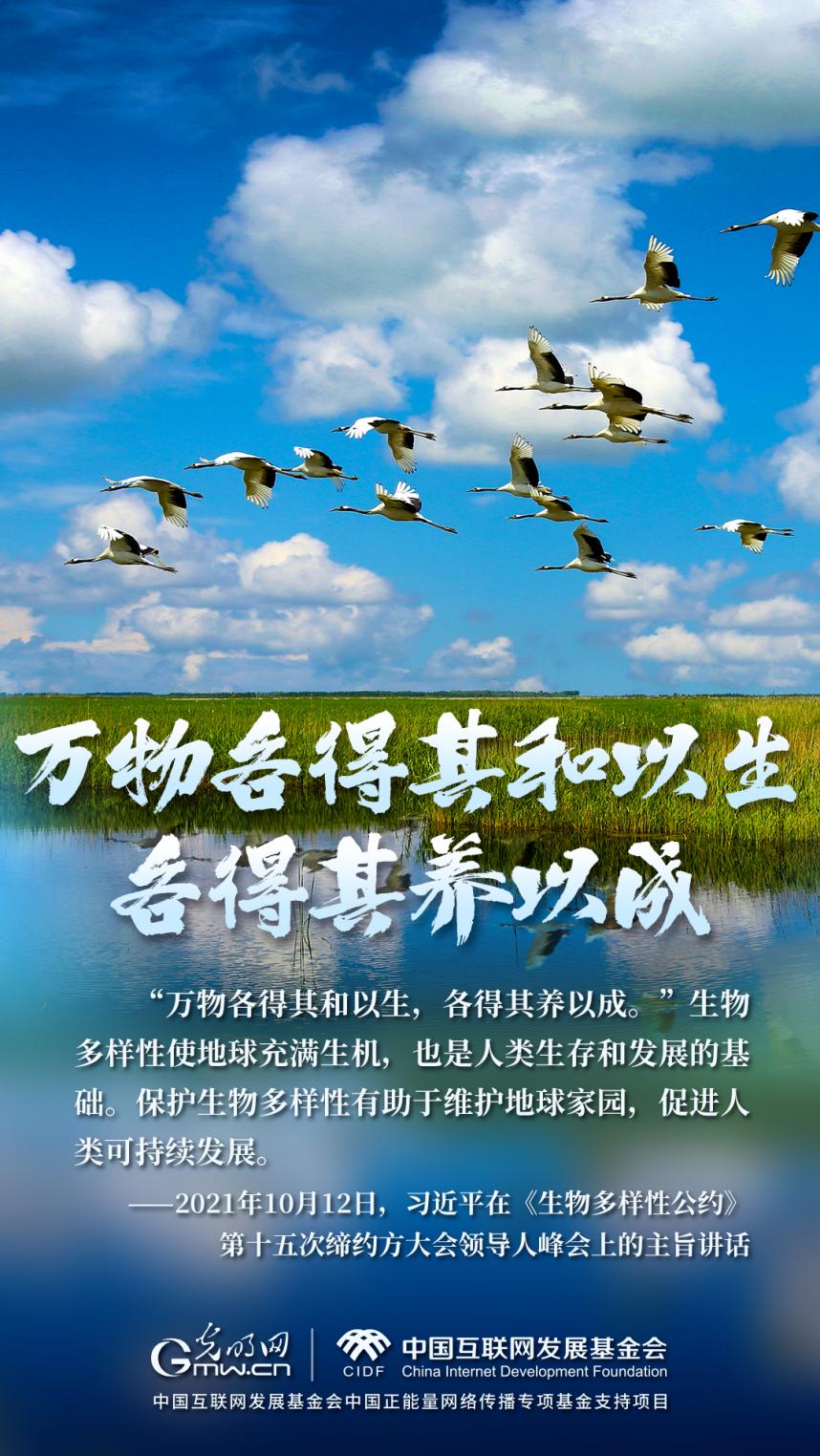 &ldquo;两山&rdquo;理念与美丽中国丨湿地与候鸟，一场岁岁年年的相守