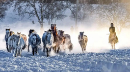 解锁冬天最野性的打开方式！