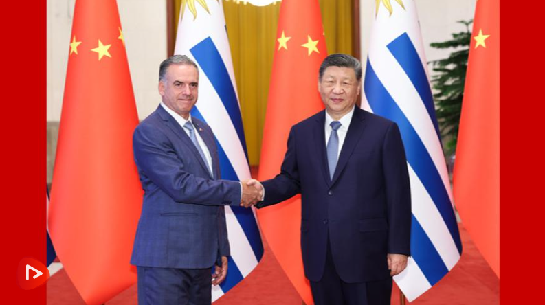 截图20260203204113