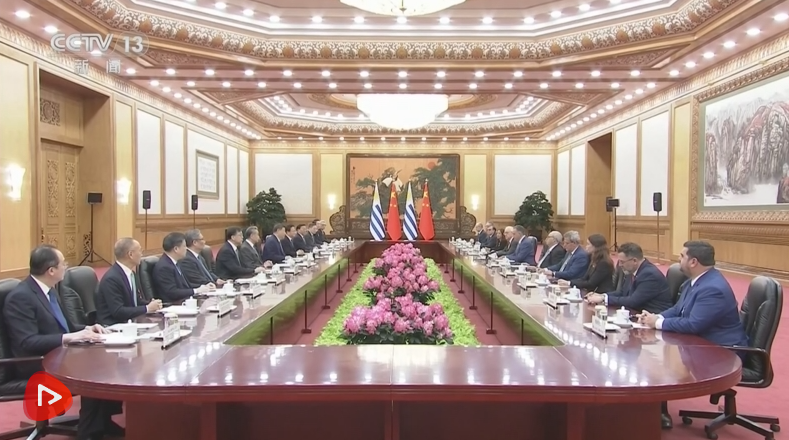 截图20260203204005