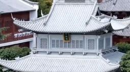 耗费2.5吨白银打造 湖南“天下银楼”拍卖无人接手