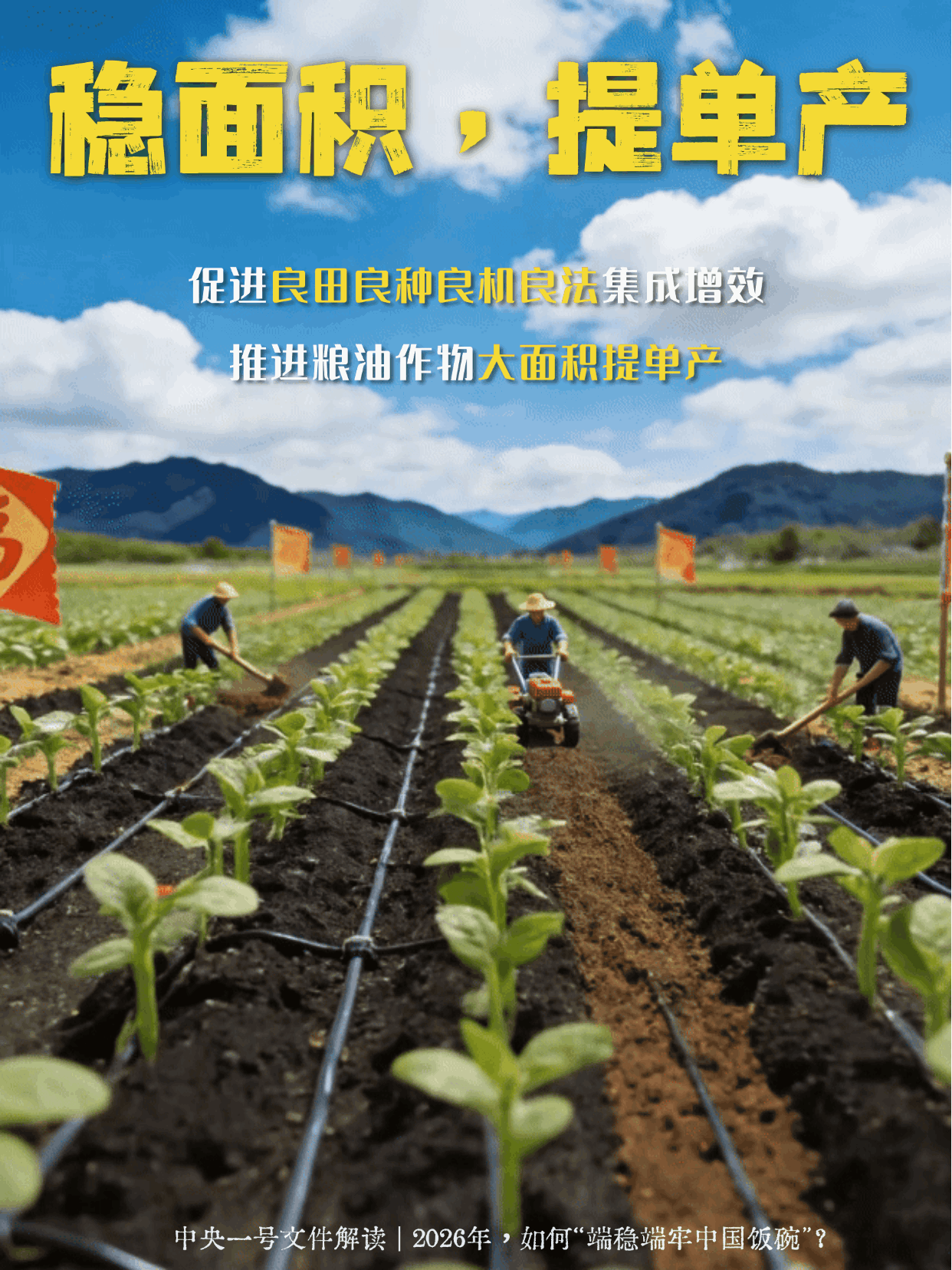 ��������һ���ļ� | 2026�����������������������ȶ����й����롱��������������