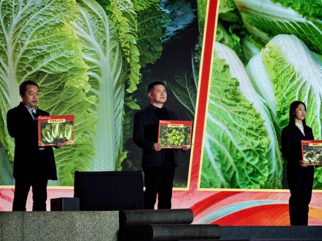 PT��Ѷ(�й���)����