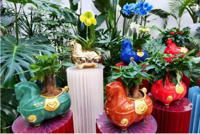 ScreenShot_2026-02-06_164937_982