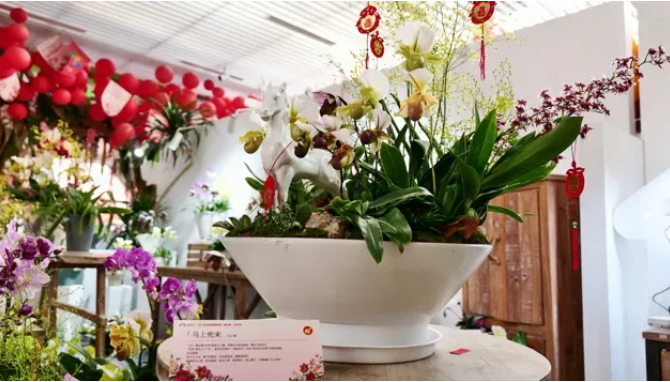 ScreenShot_2026-02-06_164944_769