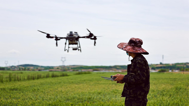 中国经济信心说丨奔向中国式现代化，“三农”这篇文章大有前景