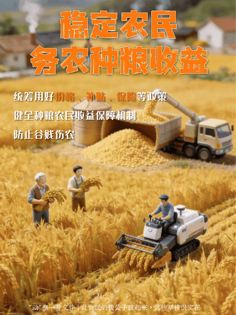 &ldquo;动&rdquo;察一号文件｜农民腰包鼓起来，这些举措很实在